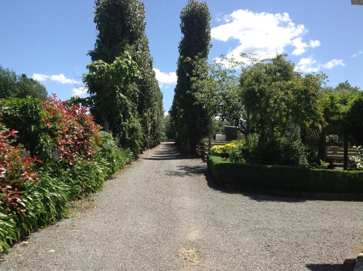 Aratahi Cottages Carterton 外观 照片